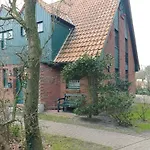 Austernfischer 4a * Spiekeroog