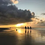 Austernfischer 4a Spiekeroog
