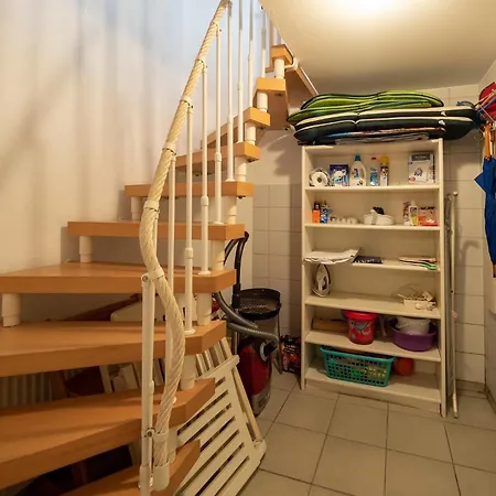 Austernfischer 4a Spiekeroog