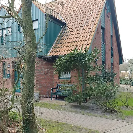 Austernfischer 4a * Spiekeroog