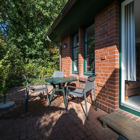 Austernfischer 4a * シュピーカーオーク