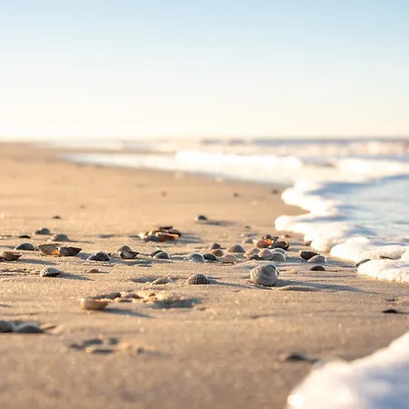 Austernfischer 4a Feriehus