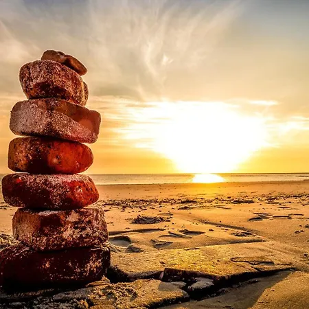 Austernfischer 4a Feriehus