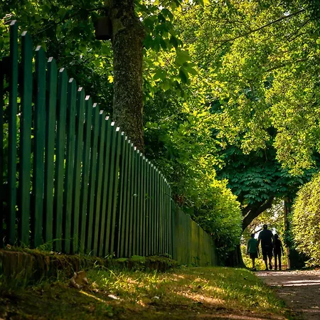 Feriehus Austernfischer 4a *