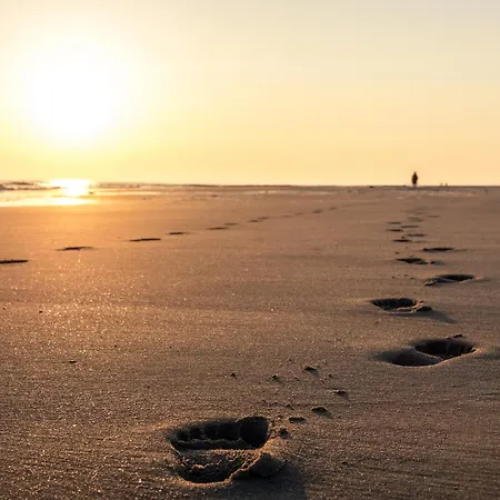 Austernfischer 4a 別荘