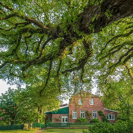 Austernfischer 4a Holiday home