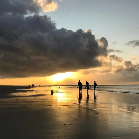 Austernfischer 4a Spiekeroog