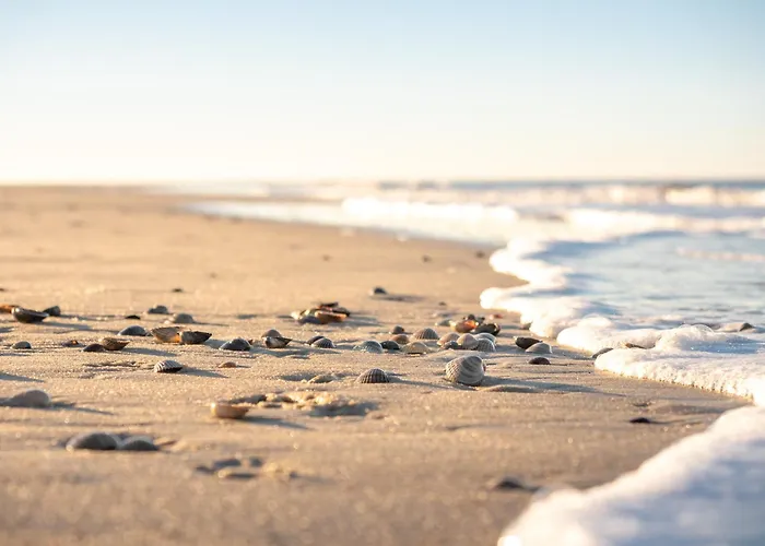 Austernfischer 4a Дом отдыха