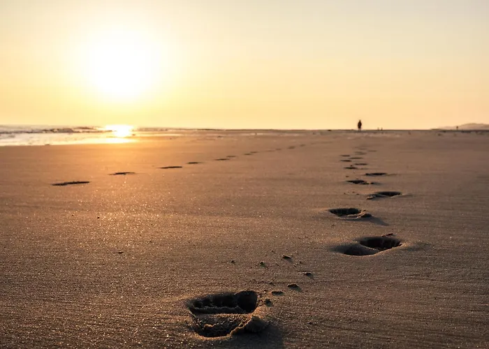 Austernfischer 4a Дом отдыха